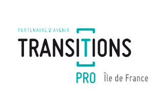 transition pro
